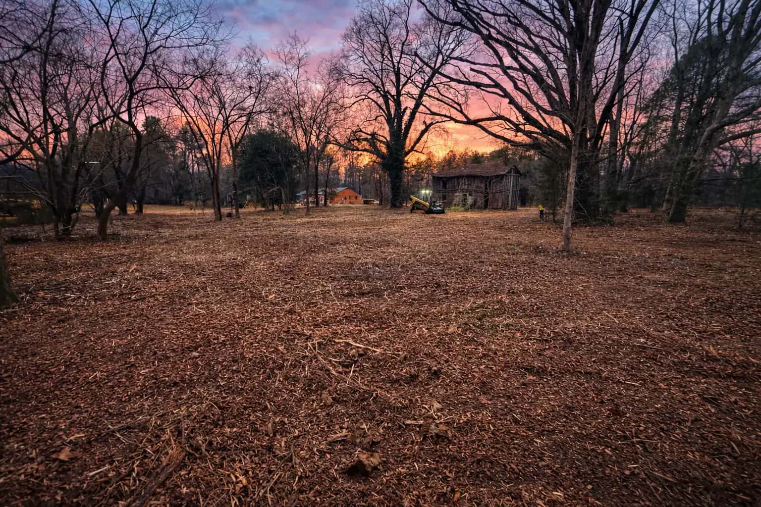 Forestry mulching equipment clearing overgrowth on a Culpeper property
